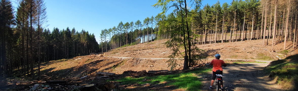 Umwelt und Schadstoffe in Nordrhein-Westfalen NRW Umweltlabor  Hoffmann - Umwelt Klimawandel Schadstoffe Wasserqualität Fasern Partikel Hausstaub Ozon Schimmel  Radon-Gas Asbest Formaldehyd Holzschutzmittel Weichmacher