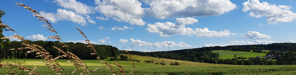 Umweltlabor  Hoffmann - Umwelt Klimawandel Schadstoffe Wasserqualitt Fasern Partikel Hausstaub Ozon Schimmel  Radon-Gas Asbest Formaldehyd Holzschutzmittel Weichmacher